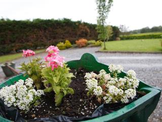 Dun Cromain B&B - Banagher - 2