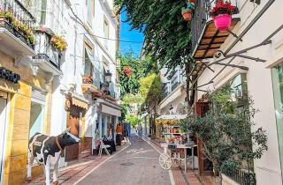 Cozy 2-bed 2-bathroom apartment in Marbella town centre - Marbella - 4