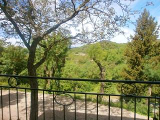 Maison charmante à Faugères avec vue sur la montagne - Faugères - 1