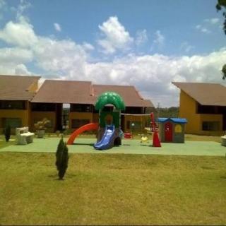 FLAT WINTERVILLE GRAVATA - 2