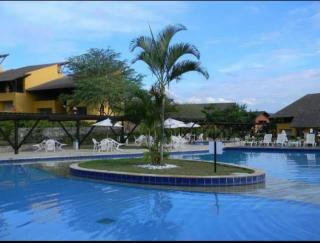 FLAT WINTERVILLE GRAVATA - 1