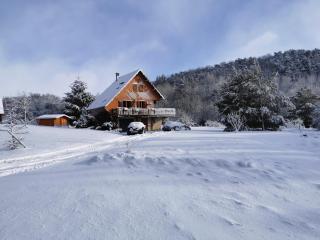 Chalet entre lac et volcan - Murol - 3