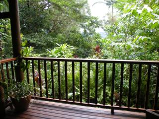 Epiphyte B & B - 6