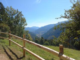 Berghütte Reissnerhof - Ranten - 6