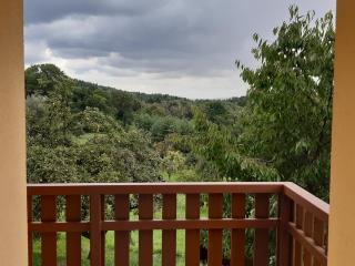 Apartmány U Zvoničky - Prachov - 5