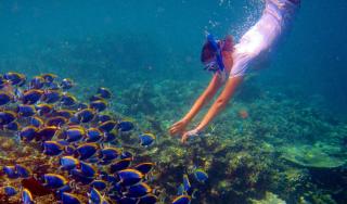 Palm Gate Maldives - Thulusdhoo - 4