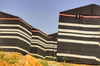 Ein lahda camp-site - Dana - 4