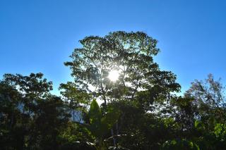 Bosque Guardian Lodge - Tarapoto - 5