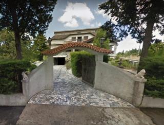 Pinheirinhos - Quinta de São Caetano - Carapito - 0