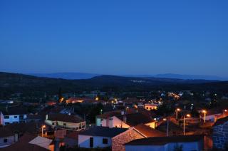 Pinheirinhos - Quinta de São Caetano - Carapito - 2