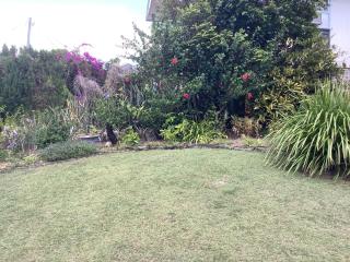 Studio Apartment with Seaview - Airlie Beach - 4