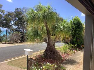 Studio Apartment with Seaview - Airlie Beach - 5