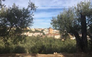 Jardin Andaluz Appart Alhambra - Pinos del Valle - 9