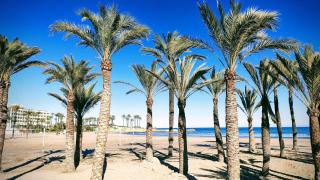 Ground floor Apartment close to Arenal Javea - 4 pers - Jávea - 0