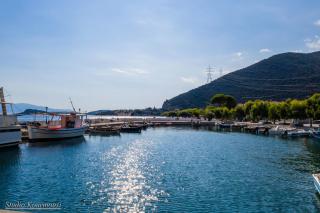 Amaryllis Holiday Home - Agios Spiridon Fokidas - 5