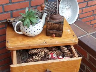 Ferienhaus Emstal in Oberlangen - 3