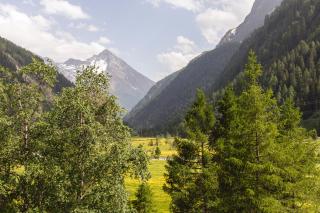 Matreier Tauernhaus - Matrei in Osttirol - 8