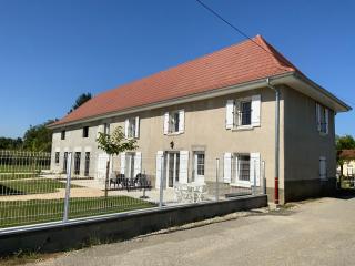 Aux champs Pressinois - Pressins - 6