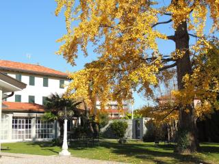 Ginkgo Guest House - Ronchis - 0
