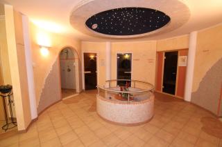 Hotel Steiger - Neukirchen am Großvenediger - 9