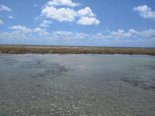 Propriedade patolo - 5