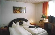 Hotel Goldener Karpfen - Aschaffenburg - 4