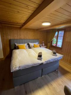 Charmant Chalet mit See und Bergsicht - Hofstetten - 5