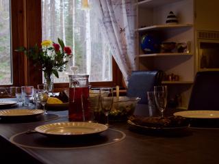 Nordic character - Vidsel - 3