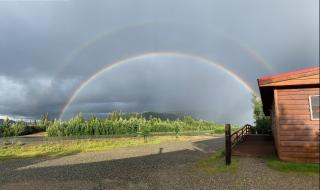 Denali RV Park & Motel - Healy - 6