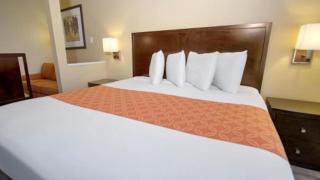 Galleria Palms Orlando - Free Theme Park Shuttles - Orlando - 3