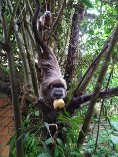 Alojamiento Natural La Cueva de Morgan San Rafael - 3