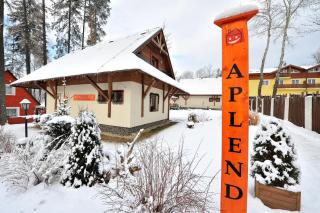 APLEND Domceky Tatry Holiday - Veľký Slavkov - 6