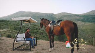 Bujtina e Muriqit - 4