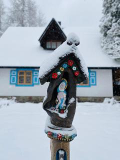 Bieszczadzka Samotnia - 8