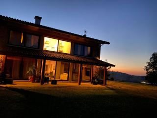 Cammino Nel Verde - 1