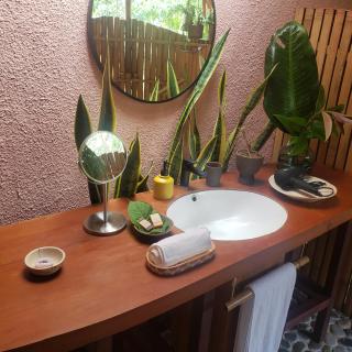 Bosque Guardian Lodge - Tarapoto - 4