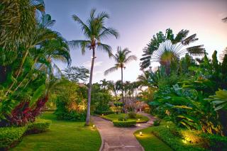 Jardin del Eden Boutique Hotel - Tamarindo - 3