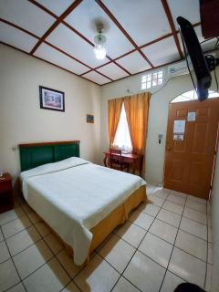 Hotel Continental Plaza - San Miguel - 3