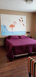 SHOTEL Calafate - El Calafate - 4