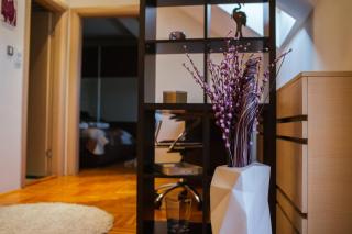 Old Town flat - Novi Sad - 9