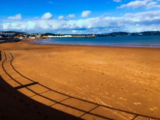Apartment 1 Large Studio Sea Front- Sea Views- Free Parking - Paignton - 1