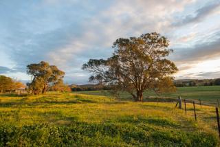 Beaudesert Mudgee - Kanimbla Guesthouse & Beaudesert Cottage - Mudgee - 8