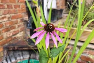 Harmony House Boutique B&B - Stillingfleet - 4