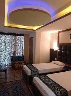 Esses House A Luxury Homestay and service apartment - Gangtok - 7