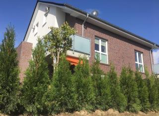 Ferienwohnung Himmelblau - Esens - 8