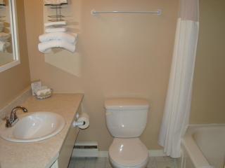 Colonial Resort-1000Islands - Gananoque - 9