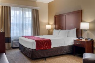 Comfort Suites Downtown Sacramento - 4