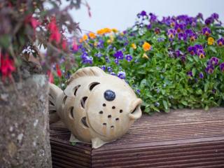 The Moorings B&B - 6