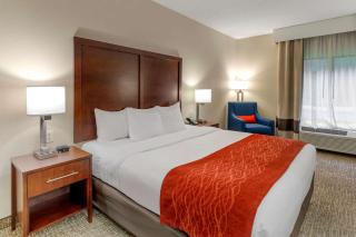 comfort & inn Suites - Canton - 1