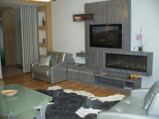 Apartament Stara Polana i Spa - Zakopane - 0